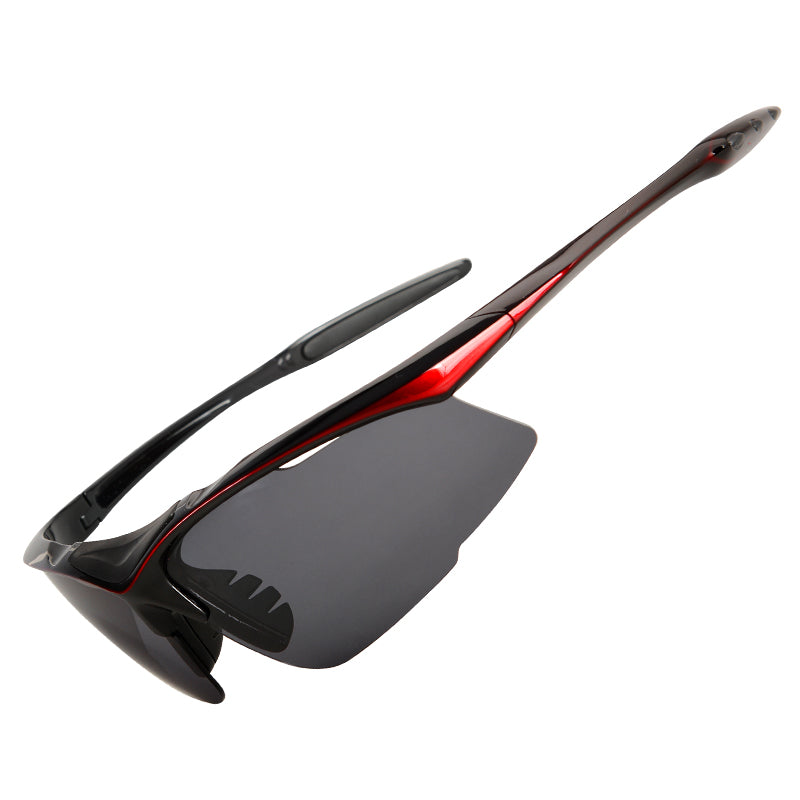 TNW202 Premium Touring Winter Motorcycle Goggles