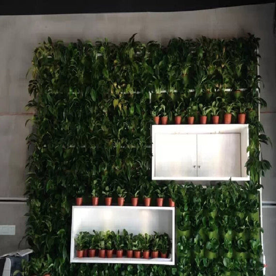 18 جيوب جدار حديقة الغراس - الأخضر