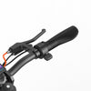 TN-X1 55.9 Miles Long-Range Electric Scooter - 1600W