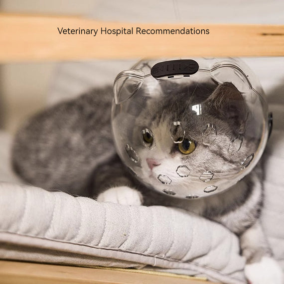 KT-12-15-003 غطاء رأس القطة، غطاء رأس مضاد للعض، غطاء أظافر للاستحمام، مضاد للخدش، مضاد لللعق، سحر الحيوانات الأليفة، طوق إليزابيث 