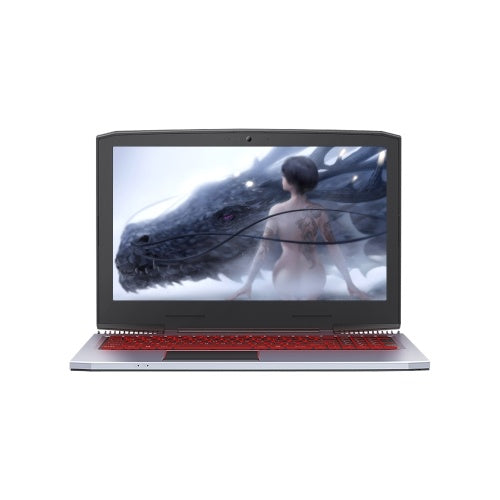 كمبيوتر محمول Corei7 15.6in GTX1060 كمبيوتر محمول للألعاب 1920*1080 HD مراوح مزدوجة 8G DDR4 بطارية 4000mAh RGB لوحة مفاتيح بإضاءة خلفية