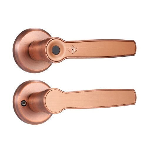 مجموعة قفل بصمة الإصبع الذكي بدون مفتاح، رافعة باب إلكترونية بيومترية مضادة للسرقة، أقفال أبواب مع قفل ثابت للمنزل والمكتب والمدرسة والأبواب الخشبية أو الحديدية باللون الأسود البرونزي