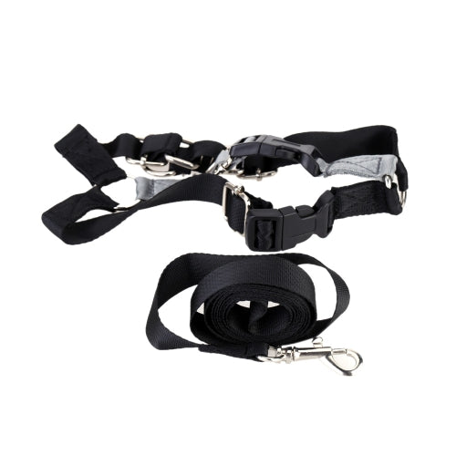 Pet Dog Nylon Adjustable Training Lead Dogs Harness Walking / Running Traction Belt Leash Strap Rope S