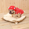 Soft Lovely Pet Dog Puppy Clothes Coat Lovely Red Goldfish Costume for Spring Autumn M