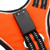 TAILUP LED Lamp Dog Harness LED Reflective Dog Vest