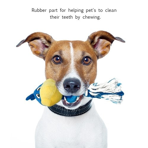 لعبة كرة مضغ صرير للكلاب، لعبة قطيفة ناعمة على شكل حيوان، لعبة مضغ للكلاب