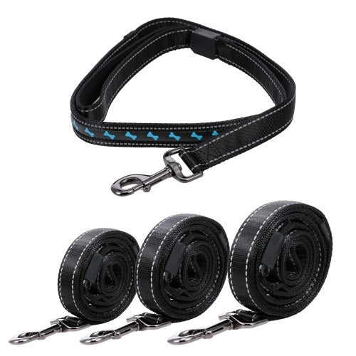 قاد الكلب مقود الكلب