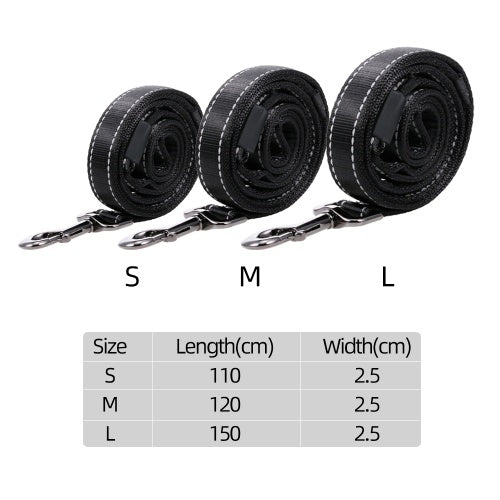 قاد الكلب مقود الكلب