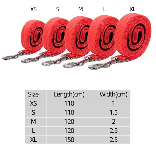 الكلب المقود الأليف مقود الكلاب التدريب المقود