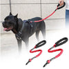 Dodopet Dog Pet Bungee مقود