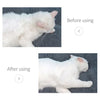 Pets Dogs Grooming Brush Hair Remover Shedding Grooming Tools for Dogs One-button Remove Hair