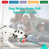Pet Dog Molar Lite Toy Toy Dog Rope سحب لعبة تفاعلية لموزع الطعام مع جرس كوب شفط لسحب تنظيف الأسنان