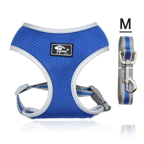 حزام للكلاب بدون سحب للحيوانات الأليفة، حزام هوائي للكلاب، شبكة مناسبة لجميع الأحوال الجوية، صدرية قابلة للتعديل للحيوانات الأليفة في الهواء الطلق، حزام عاكس للكلاب الصغيرة والمتوسطة والكبيرة، (رمادي، XS)