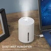 320mL Car Mist Humidifier Diffuser