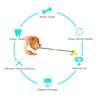 Pet Sucker Molar Stick Pet Molar Bite Toy Dog Chewing Toy