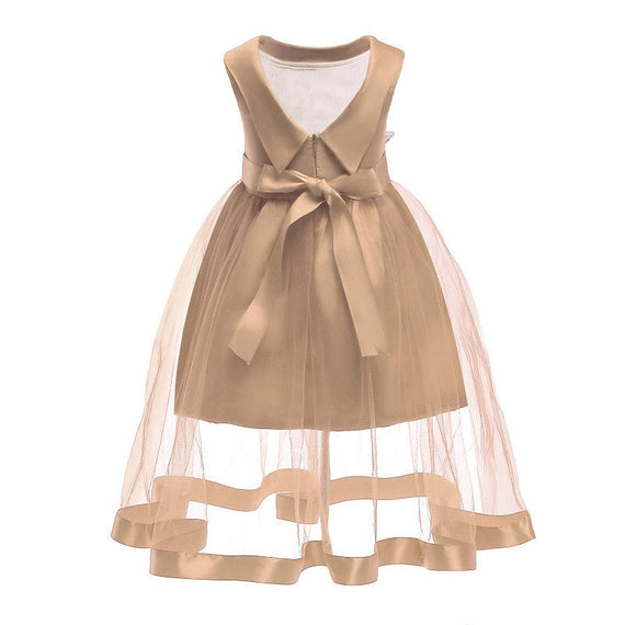 الفستان الرسمي المطرز الدانتيل - الشمبانيا