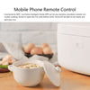 Xiaomi Mijia IHFB01CM IH Electric Rice Cooker