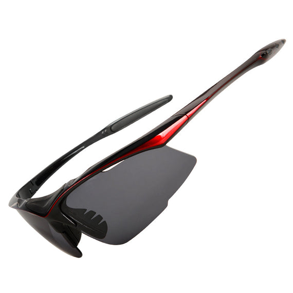 TNW202 Premium Touring Winter Motorcycle Goggles