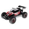 RC Car 1/16