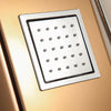 SUS304 Electric Shower Panel - Rose Golden