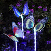 Garden Solar Light