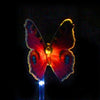 Garden Solar Light