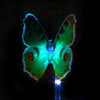 Garden Solar Light