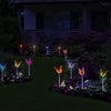 Garden Solar Light