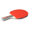 Table Tennis 2 Player Set 2 Table Tennis Bats مضارب
