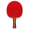 Table Tennis 2 Player Set