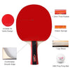 Table Tennis 2 Player Set