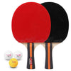 Table Tennis 2 Player Set